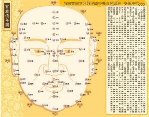 峰生水起精讀班-面相篇